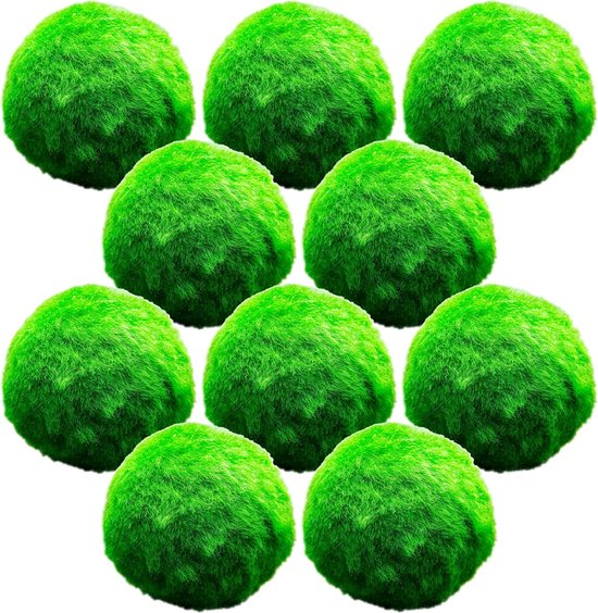 VDVELDE Marimo Mosballen - Chladoflora Aegagropila - 10 Mosbollen - Mosbal Ca. 5 cm - Zuurstofplant voor Vijver en Aquarium - Van der Velde Waterplanten