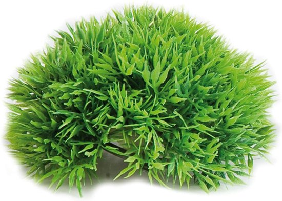 Aquarium plant Halve Mosbal - dia 12 cm - Groen - 11 x 11 x 5 cm
