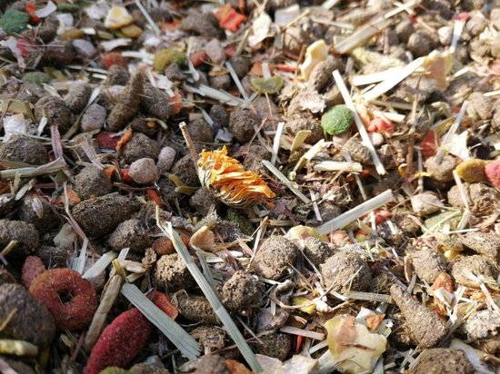 Schildpadvoer.nl Schildpaddenvoer Mix - Voor Alle Landschildpadden - 1 Liter