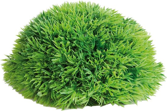 Flamingo aquarium plant halve mosbal - 12cm l x 12cm b x 7cm h