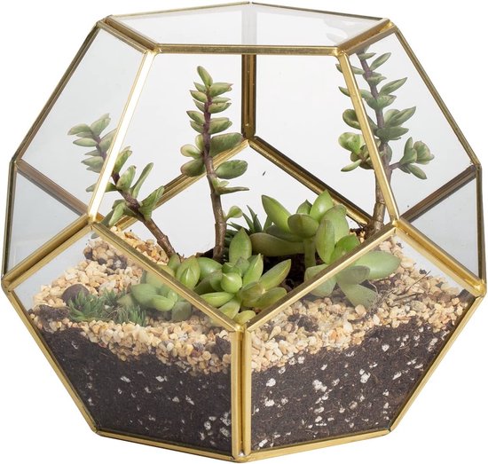 MINGZE geometrisch terrarium, modern artistiek vijfhoekig prismaglas helder glas opbergdoos sieradenhouder voor planten sappig varenmos display container tafelblad decor