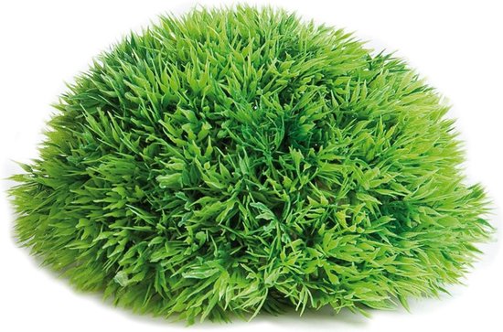 Aquarium plant Halve Mosbal - dia 17 cm - Groen - 17 x 17 x 8 cm
