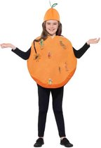 Smiffys Kinder Kostuum -Kids tm 7 jaar- Roald Dahl James & The Giant Peach Oranje