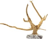 Aquariums Spider Wood On Rock S