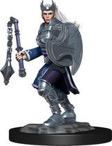 Dungeons and Dragons: Nolzur's Marvelous Minatures - Kalashtar Cleric Female