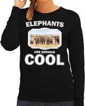 Dieren olifanten kudde sweater zwart dames - elephants are serious cool trui - cadeau sweater olifant/ olifanten liefhebber XL