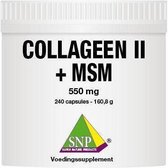 SNP Collageen II + MSM 240 capsules