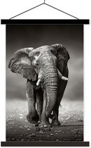 Sweet Living Poster - Afrikaanse Olifant - 0 X 0 Cm - Zwart En Wit