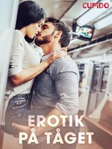 Erotik på tåget