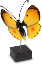 Handbeschilderde urn vlinder in hout - geel - type Luzerne - Asbeeld Dieren Urn Voor Uw Geliefde Dier - Kat - Hond - Paard - Konijn