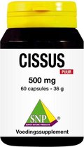 SNP Cissus 500 mg puur 60 capsules
