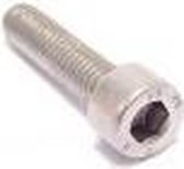 Inbusbout m5x40 rvs (p12)