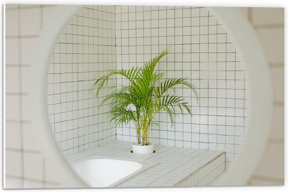 Forex - Spiegel in Badkamer met Plant - 60x40cm Foto op Forex