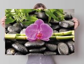 Poster Orchidee 61x91,5 cm
