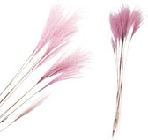 Fluffy grass dried 72 cm (10 stuks)