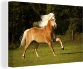Haflinger cheval galop toile 2cm 90x60 cm - impression photo sur toile peinture Décoration murale salon / chambre à coucher) / Animaux sauvages Peintures Toile