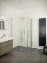 Bruynzeel Zeta zijwand 90x205cm aluminium mat profiel en helder glas
