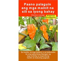 Paano palaguin ang mga mainit na sili sa iyong bahay. Sa hardin, sa mga kaldero o sa balkonahe