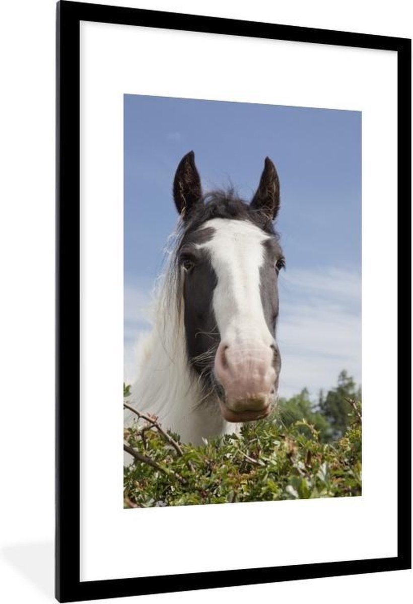 Fotolijst incl. Poster - Clydesdale - zwart - Paarden - 80x120 cm - Posterlijst - PosterMonkey