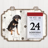 Scheurkalender 2023 Hond: Appenzeller Sennerhond