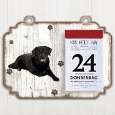 Scheurkalender 2023 Hond: Labrador zwart