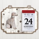 Scheurkalender 2023 Hond: Bedlington Terier