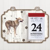 Scheurkalender 2023 Hond: Saarloos Wolfhond