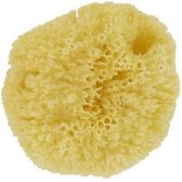 Natuur spons caribbean medium/ small (1st)