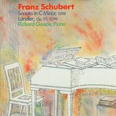 Schubert: Piano Sonata D 958, etc / Richard Goode