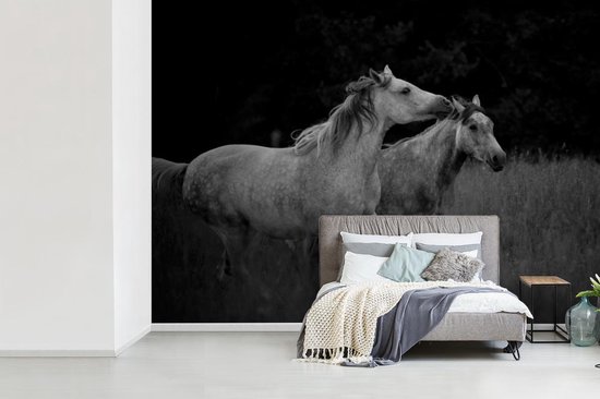 Behang - Fotobehang Twee galopperende paarden in een grasland in zwart-wit  - Breedte... | bol.com