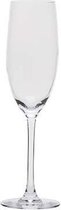 Cabernet champagneglas - 24cl - 6 stuks