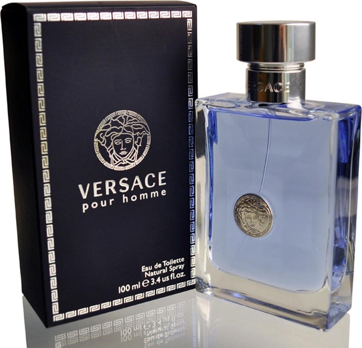 Versace Pour Homme de Toilette Spray 100 ml | bol.com