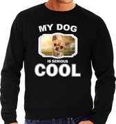 Chihuahua honden trui / sweater my dog is serious cool zwart - heren - Chihuahuas liefhebber cadeau sweaters L