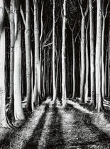 Wizard+Genius Ghost Forest Vlies Fotobehang 192x260cm 4-banen