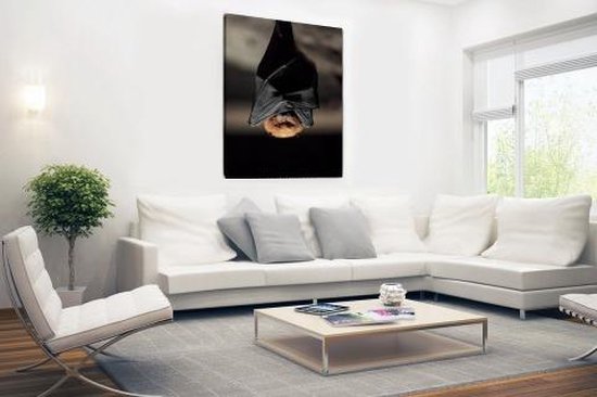 Toile de chauve-souris suspendue 20x30 cm - petit - Tirage photo sur toile (Décoration murale salon / chambre) / Peintures sur toile Animaux