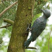 Specht Vogel In Brons | Bronzen Beelden  | Bronzen Dierenbeelden | 1 Jaar Garantie