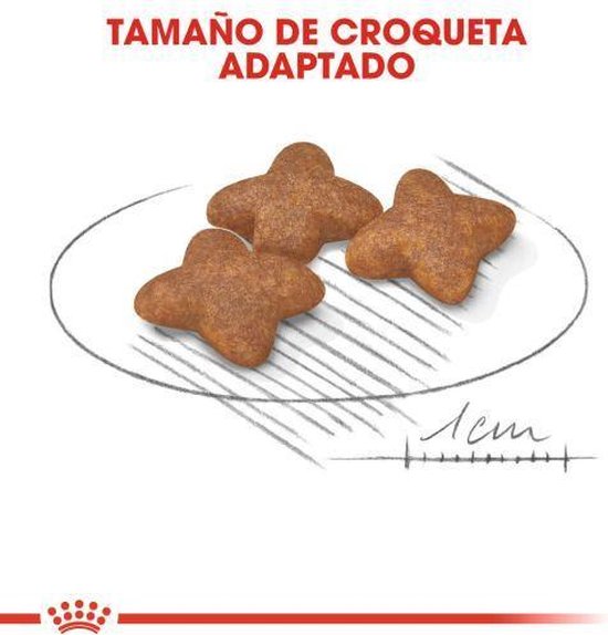 Royal Canin Mini Adult 8 KG