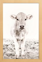 JUNIQE - Poster in houten lijst Blonde Cattle Maverick -30x45 /Ivoor