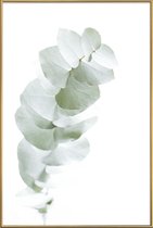 JUNIQE - Poster met kunststof lijst Eucalyptus White 1 -13x18 /Groen &