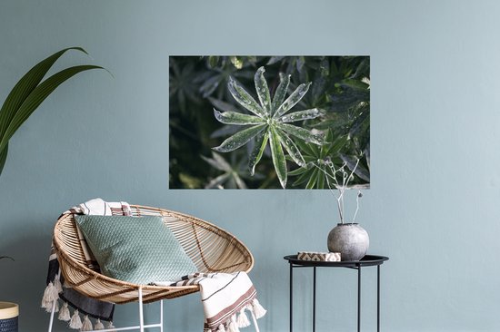 Sticker Muursticker Rosée précoce - Gouttes de rosée précoce sur feuilles - 60x40 cm - film adhésif autocollant - sticker mural repositionnable