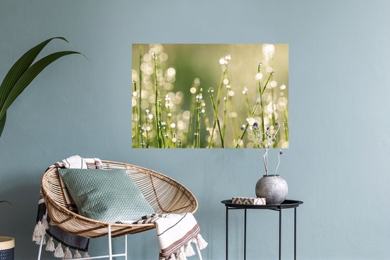 Sticker Muursticker Rosée précoce - Rosée précoce sur brins d'herbe - 60x40 cm - film adhésif autocollant - sticker mural repositionnable