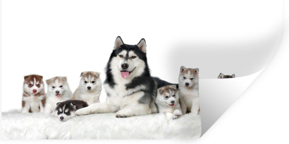 Muurstickers - Sticker Folie - Moeder met puppy's - 80x40 cm - Plakfolie - Muurstickers Ki