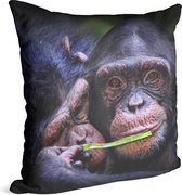 Chimpansee schattig koppel - Foto op Sierkussen - 40 x 40 cm