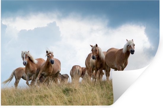 Muurstickers - Sticker Folie - Haflinger paarden - 30x20 cm - Plakfolie - Muurstickers Kinderkamer - Zelfklevend Behang - Zelfklevend behangpapier - Stickerfolie