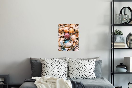 Sticker Muursticker Coquillages - Coquillages de Grèce - 30x40 cm - Film adhésif autocollant - Sticker mural repositionnable