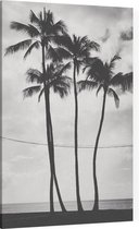 Palmbomen - Foto op Canvas - 30 x 45 cm