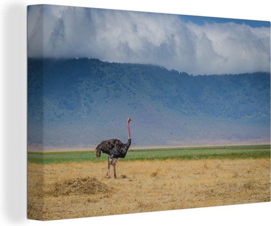 Autruche au milieu de la savanne du cratère du Ngorongoro en Tanzanie Toile 140x90 cm - Tirage photo sur toile (Décoration murale salon / chambre)