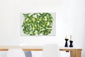 Soja translucide sur fond blanc Toile 90x60 cm - Tirage photo sur toile (Décoration murale salon / chambre)
