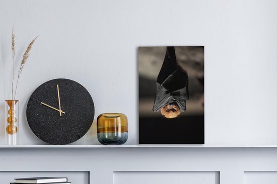 Toile de chauve-souris suspendue 20x30 cm - petit - Tirage photo sur toile (Décoration murale salon / chambre) / Peintures sur toile Animaux