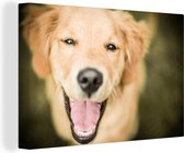 Shimmer in the eyes of this Labrador Retriever Canvas 90x60 cm - Tirage photo sur toile (Décoration murale salon / chambre) / Peintures sur toile pour Animaux domestiques